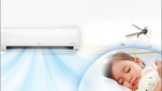 Các cách đuổi muỗi trong phòng máy lạnh hiệu quả không ngờ