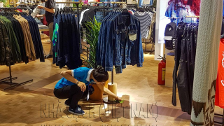 Hướng dẫn chăm sóc cây cảnh trong nhà theo cách khoa học nhất