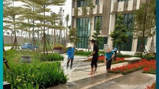 Điều khoản trong mẫu hợp đồng chăm sóc cây cảnh