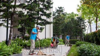 Dịch vụ chăm sóc cây cảnh tại nhà Hà Nội