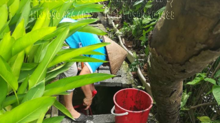 Giới thiệu Dịch vụ diệt côn trùng TPHCM của Nhà sạch Việt Nam