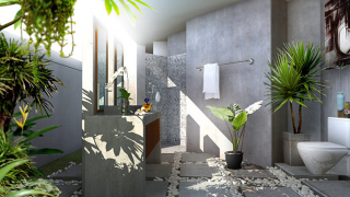 Hướng dẫn chăm sóc cây cảnh trong nhà theo cách khoa học nhất