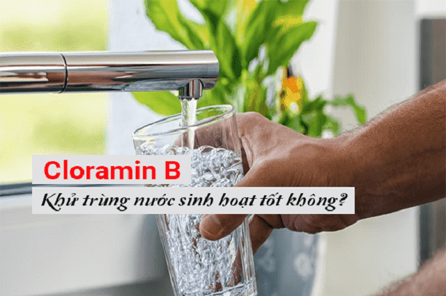 Cloramin b có tác dụng khử khuẩn nguồn nước sinh hoạt