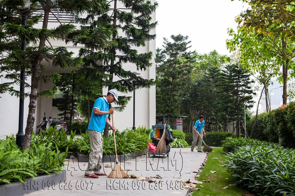 Dịch vụ chăm sóc cây cảnh tại nhà Hà Nội